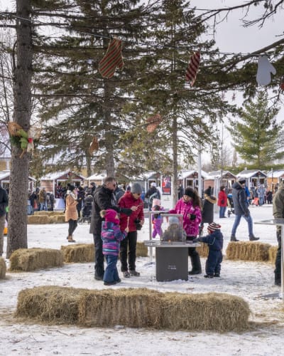 feerie_au_lac_du_village_1