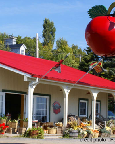 ferme_arthur_cauchon_inc_1