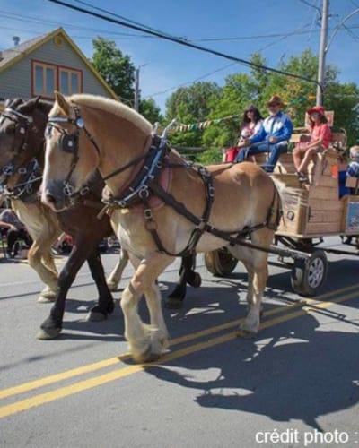 Festival du Boeuf d'Inverness