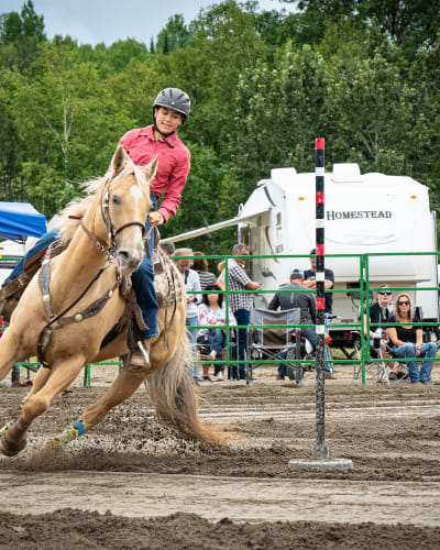 festival_gymkhana_de_falardeau_1