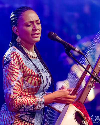 festival_international_nuits_dafrique_de_montreal_1