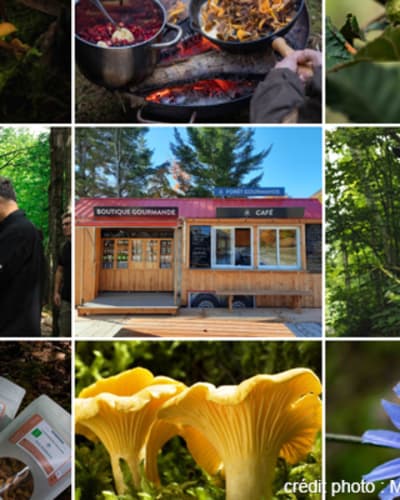 foret_gourmande_1