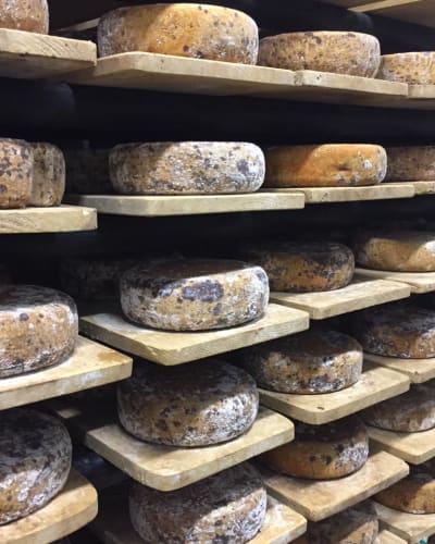 fromagerie_fritz_kaiser_1