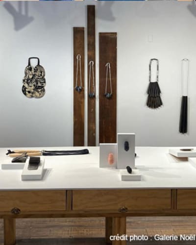 galerie_noel_guyomarch_bijoux_dart_1