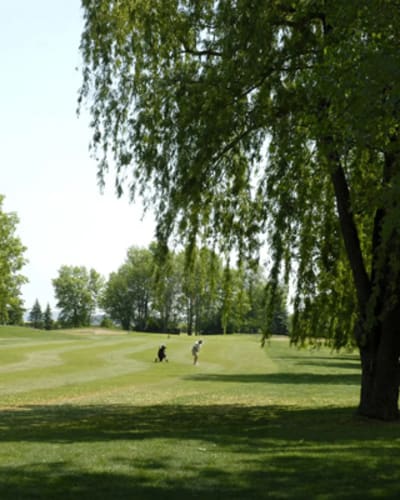 golf_dorval_1