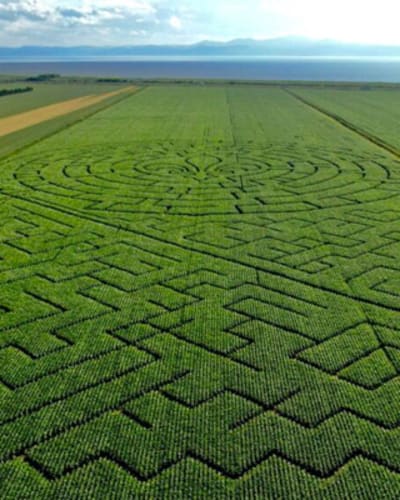 grand_labyrinthe_kamouraska_1