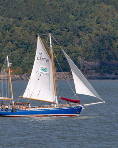 grand_voilier_decomaris_1