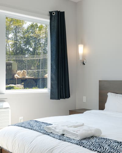 hotel_de_la_cite_perdue_1