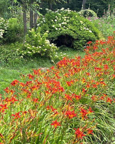 jardin_ceres_1