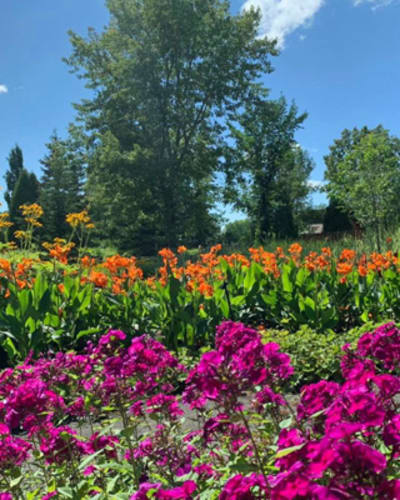 jardin_scullion_1