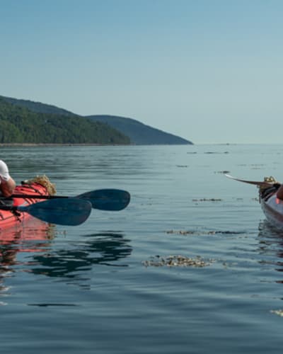 katabatik___aventure_dans_charlevoix_1