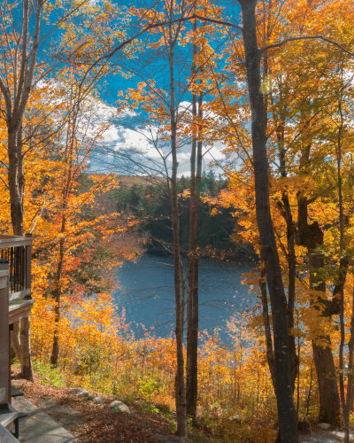 kenauk_nature_2_a