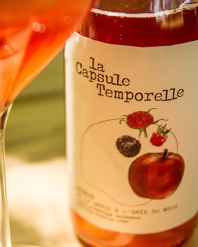 la_capsule_temporelle_1