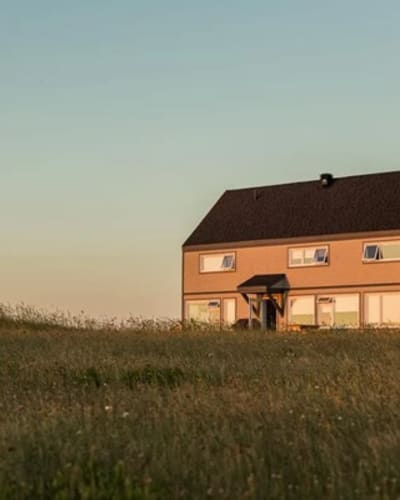 la_grise_de_louest_1