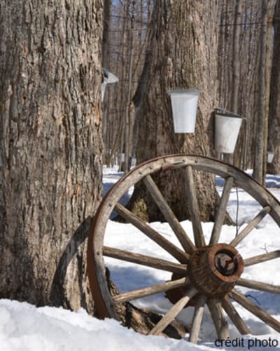 le_chalet_du_ruisseau_inc_1