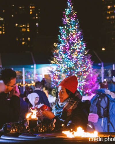 le_grand_marche_de_noel_de_montreal_1