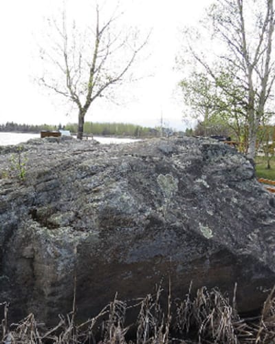 le_parc_de_la_roche_a_caya_1