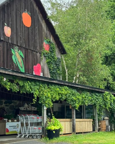 le_roi_de_la_fraise_1