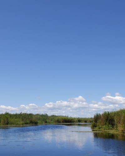 les_amis_de_la_reserve_nationale_de_faune_du_lac_saint_francois_2