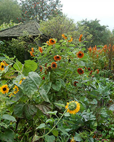 les_jardins_du_grand_portage_1