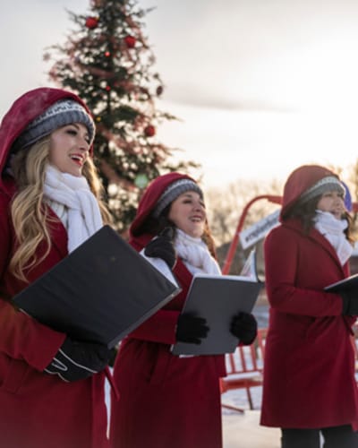 les_marches_de_noel_de_brome_missisquoi_1