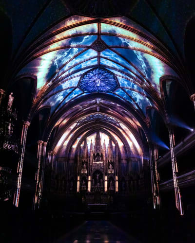 The AURA Experience