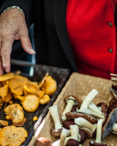 marche_agroalimentaire_de_val_david_1