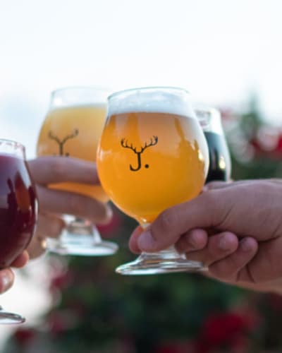 microbrasserie_jackalhop_1