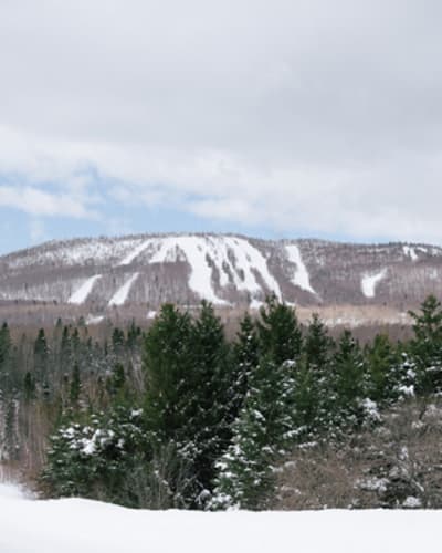 mont_comi_1_h