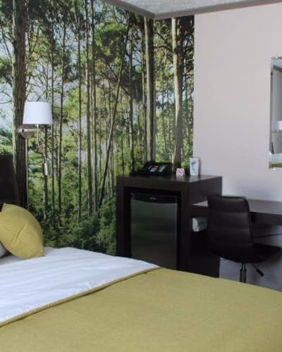 motel_iris_1
