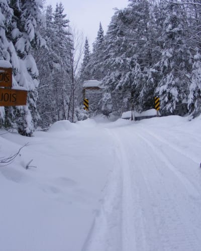 motoneige_et_quad_cet_hiver_en_petite_nation_1_h