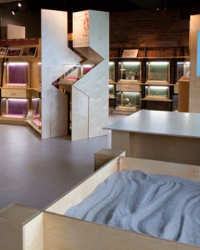 musee_darcheologie_de_roussillon_1