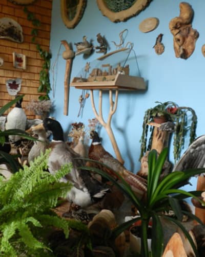 musee_de_la_nature_1