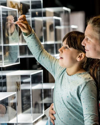 musee_de_la_nature_et_des_sciences_de_sherbrooke_1