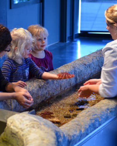 musee_du_fjord_1