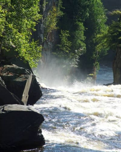 parc_des_chutes_lysander_1