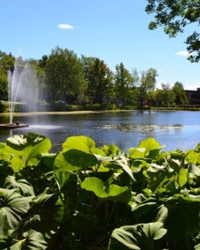 parc_du_domaine_howard_et_jardins_des_serres_municipales_carl_camirand_1