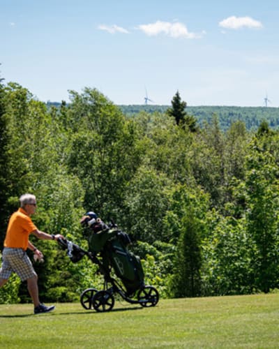parc_du_mont_saint_mathieu_1