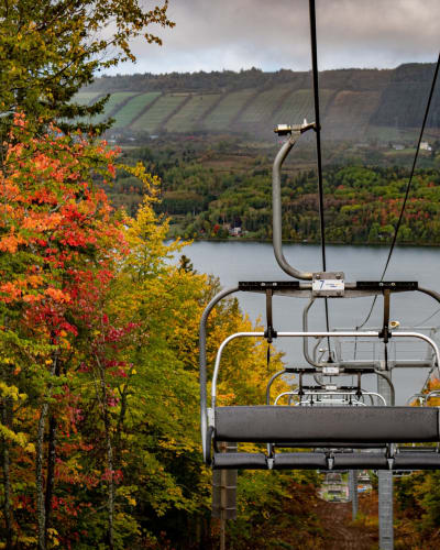 parc_du_mont_saint_mathieu_1_a