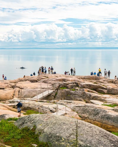 parc_marin_du_saguenaysaint_laurent_1