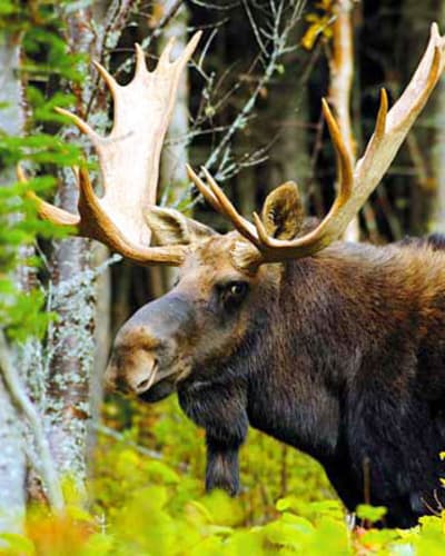 parc_national_daiguebelle_1