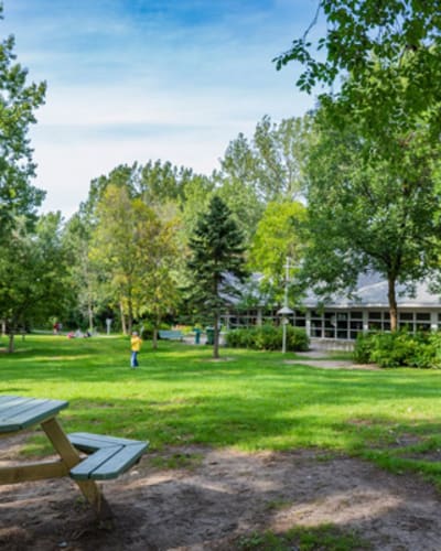 parc_nature_du_bois_de_liesse_1