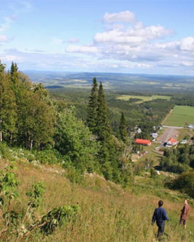 parc_regional_de_val_direne_1