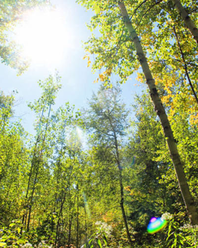 Quebec's Regional Parks