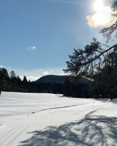 patinoire_du_lac_moore_1