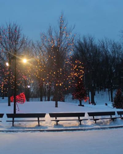 patinoire_refrigeree_du_lac_aux_castors_1_h