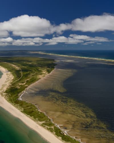 plage_de_la_dune_du_sud_cormorandiere_1