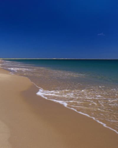 plage_de_la_grande_echouerie_1