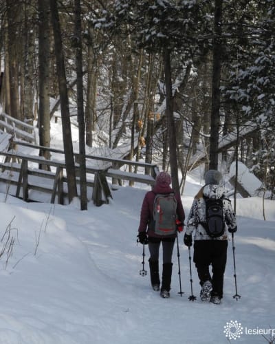 promenade_jacques_cartier_1_h