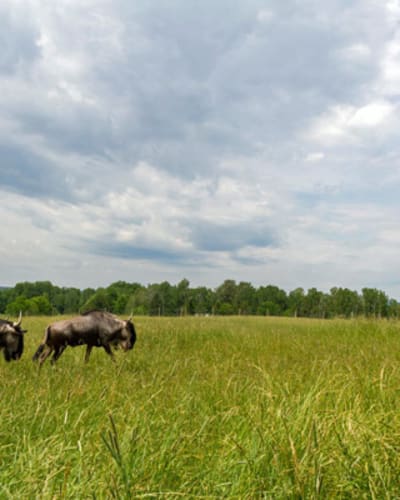 ranch_dupont_1